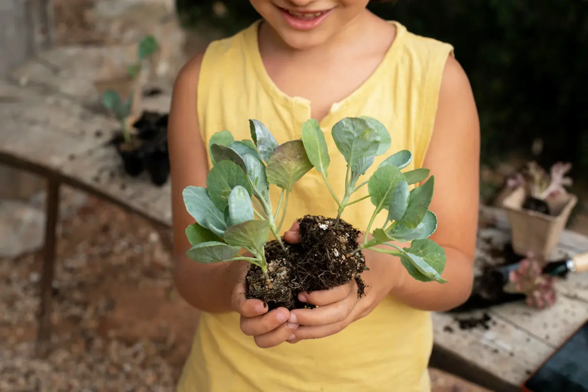 TALLERES DE HUERTO EN EL COLEGIO EN HORARIO LECTIVO🍉🫑🍅🍆🥒🧄🧅