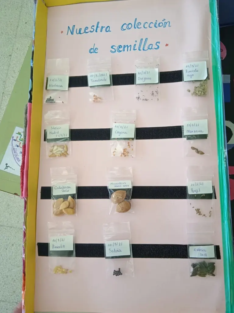 Red escolar de intercambio de semillas
